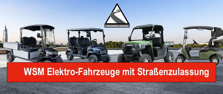 WSM Elektrofahrzeuge mit Straßenzulassung